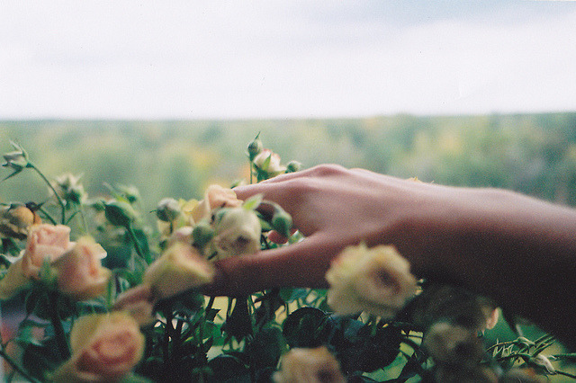 natureac:  This blog will make you feel at peace 