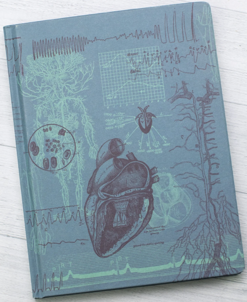 Anatomically Illustrated Notebooksby Cognitive Surplus