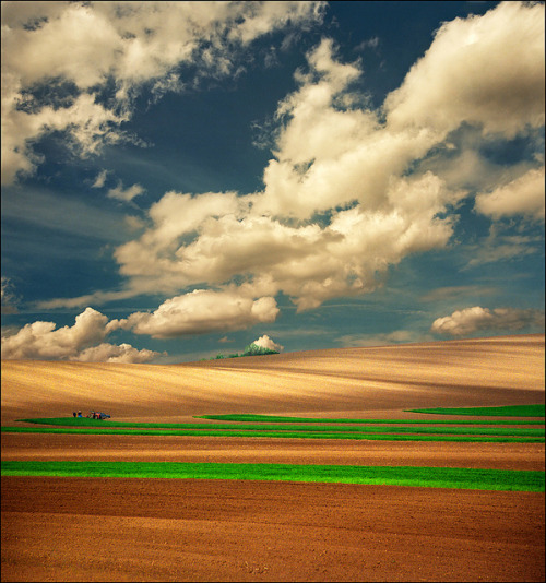 Meeting on a spring field (Press &ldquo;L&rdquo;..:))) by Katarina 2353 on Flickr.