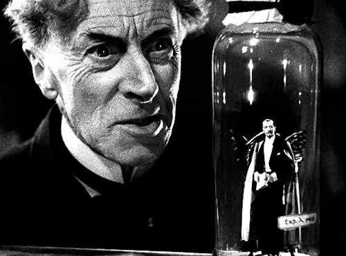 buckybarness:Films Watched in 2022↳ THE BRIDE OF FRANKENSTEIN (1935) • dir. James