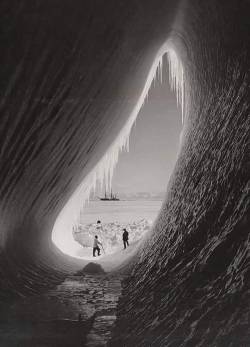 ymutate:Robert Scott’s Terra Nova expedition porn pictures