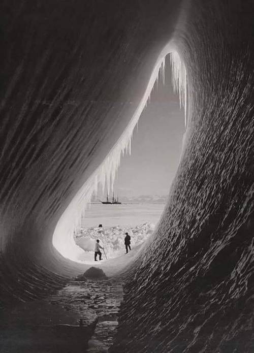 XXX ymutate:Robert Scott’s Terra Nova expedition photo