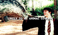  MBTI + HP characters: 1. Harry Potter &ldquo;They act in ways that ensure others’