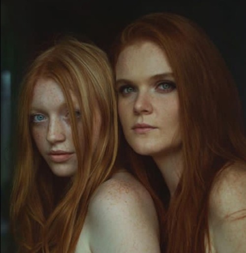 o-1968:O and Udranka A pair if Ginger Caucs