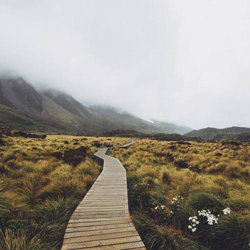 theadventurouslife4us:  #adventure , Stepping into the wild 