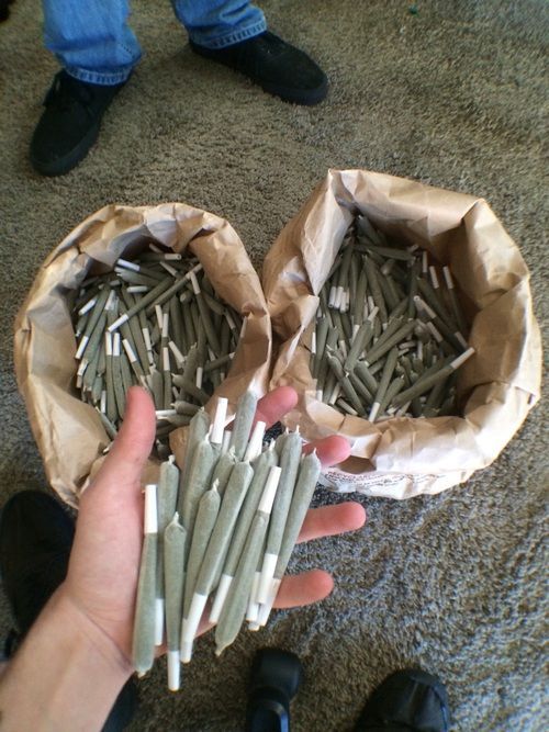 im-mr:  Stay high and check out my blog!