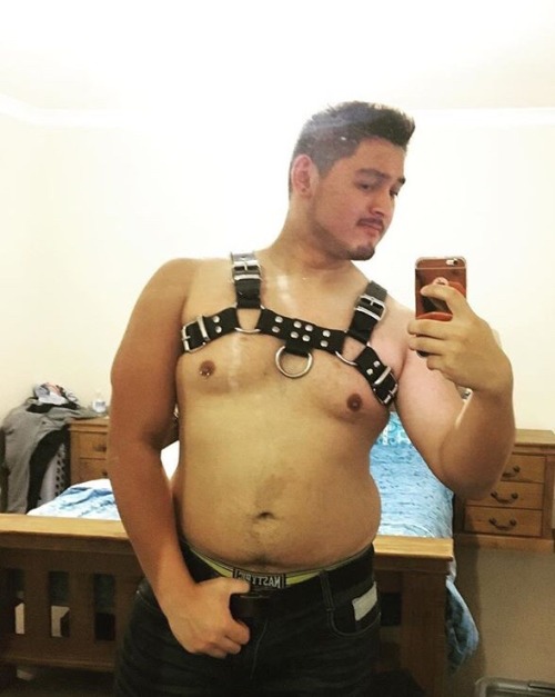 gato-loco:  @thecubthatdanced on Instagram