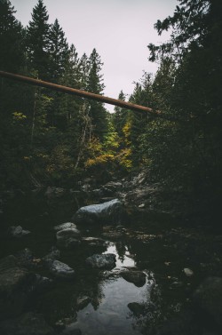 deeplovephotography:  flickr | facebook | society6