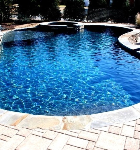 Natural Pool In RaleighPool - Mid-sized Contemporary Backyard Concrete Paver And Custom-shaped Natural