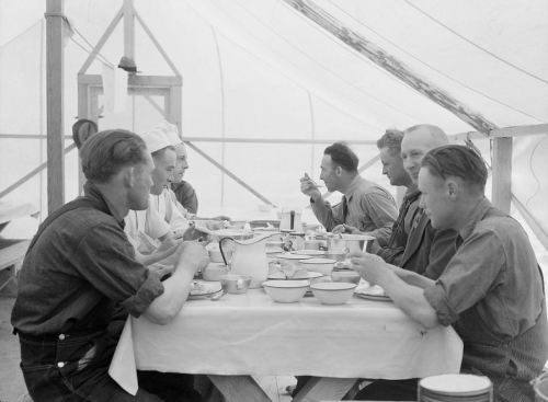 Lunch in workcamp, Oneida, Idaho, May 1936