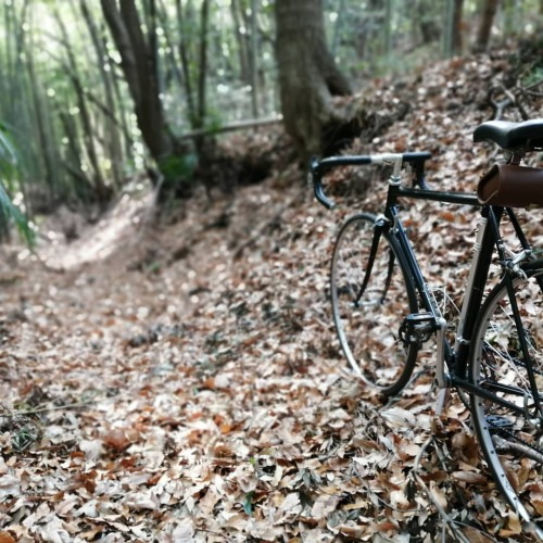 yogidempsey: 小野路に人知れずひっそりと残る掘割状の鎌倉道 #自転車 #ロードバイク #クロモリ #サイクリング #ポタリング #里山 #鎌倉道 #鎌倉街道 #歴史 #古道 #bicycl
