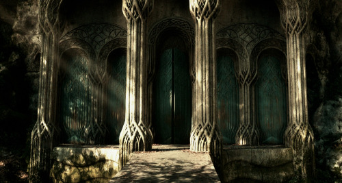 maesterbaggins:  Mirkwood 