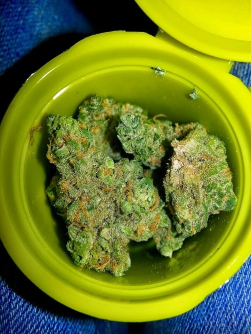 tumblr photo datboyteejayy 1