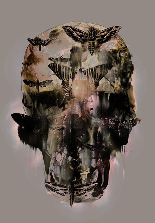 Moth Decay3000 x 4300