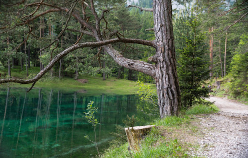 helenofdestroy: Grüner See (Green Lake) is a lake in Styria, Austria. In the winter you&rs