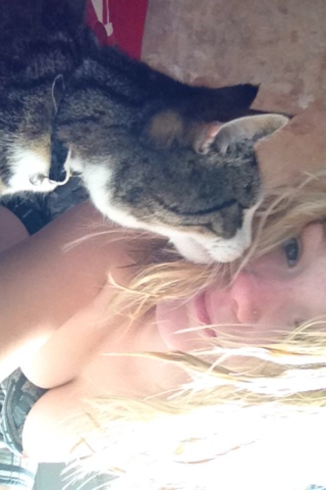 fl00sie:  Kitty kisses