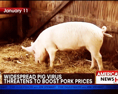 fuckyeah-nerdery:  jordanrock:  goatbagxvx:  He just. He went there.  BOOM  Bacon