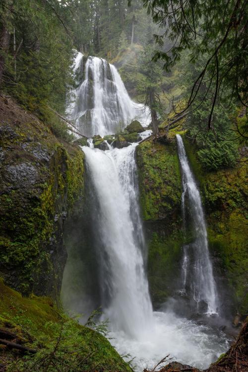 oneshotolive:Falls Creek falls, WA [OC] [2667 x 4000] : 15minutesofshame