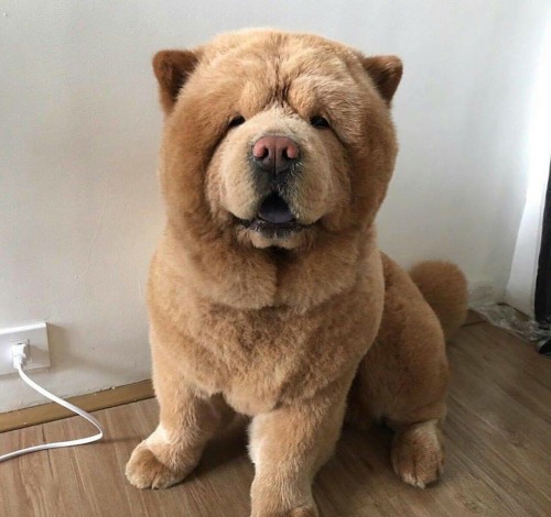 😍😍😍😍