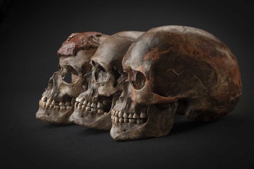 We know that modern humans first arrived in Europe about 45,000 years ago when the continent was sti