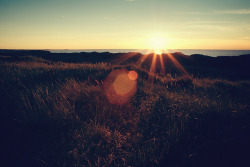 oix:Sunflare by jennydasdesign on Flickr.
