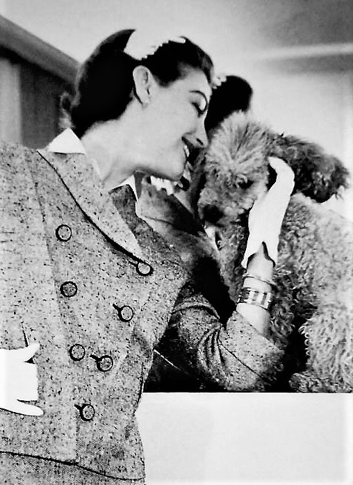 Ava Gardner + Dogs