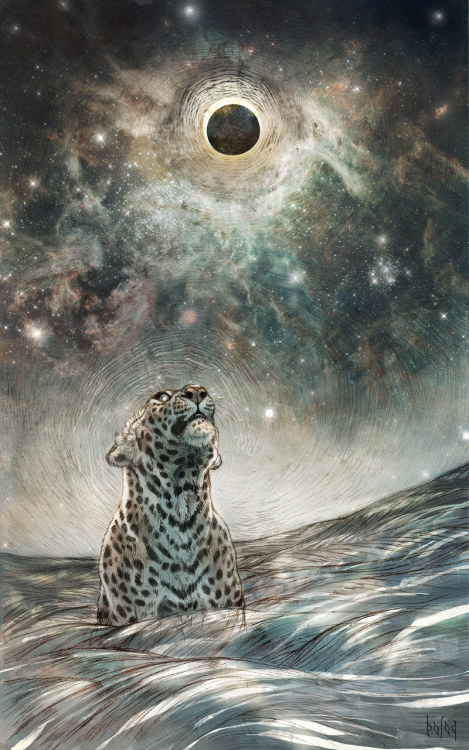 knightofleo:    Anastasia Korochansckaja  from the starspyrite sunas to the flamesands of creationeclipsed from withinaeterno  
