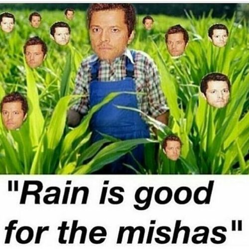 MISHAPOCALYPSE 2017