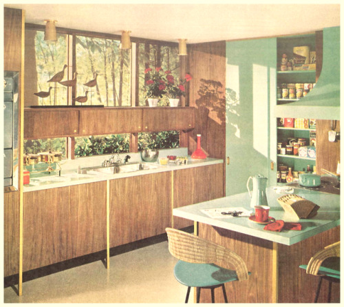 thegikitiki:Kitchen Design and Decor, 1961