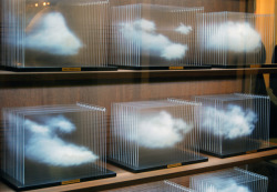 Pylore:  La Vitrina Cloud Collection - Leandro Erlich (2011) 