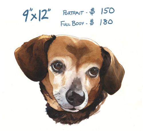 penstab: Hey everyone! I’m opening up for watercolor pet commissions! Despite the samples, thi