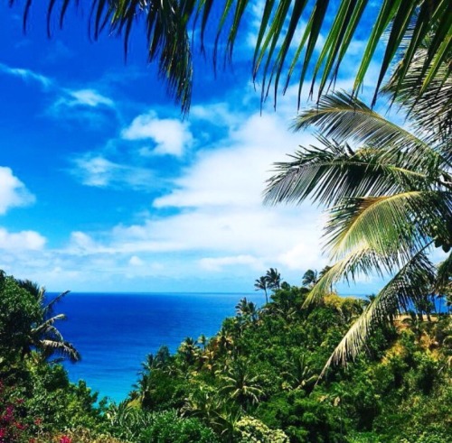 tropical-summer-vibes: beYOUtiful ☀️