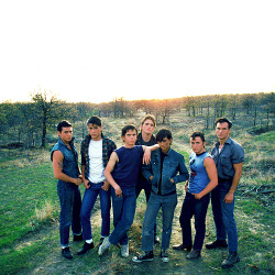 cinecat:  The Outsiders (1983) 