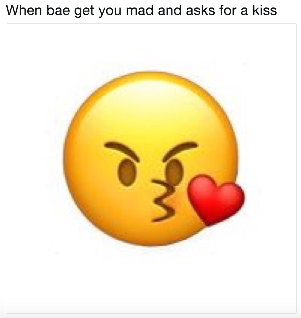 Animal Memes
