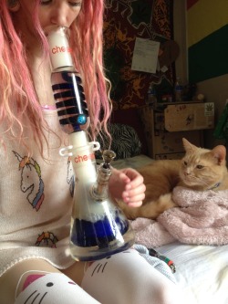 brndns-baked:  reaching4zion:  Ozzy digs it 💚  Getting milky :)