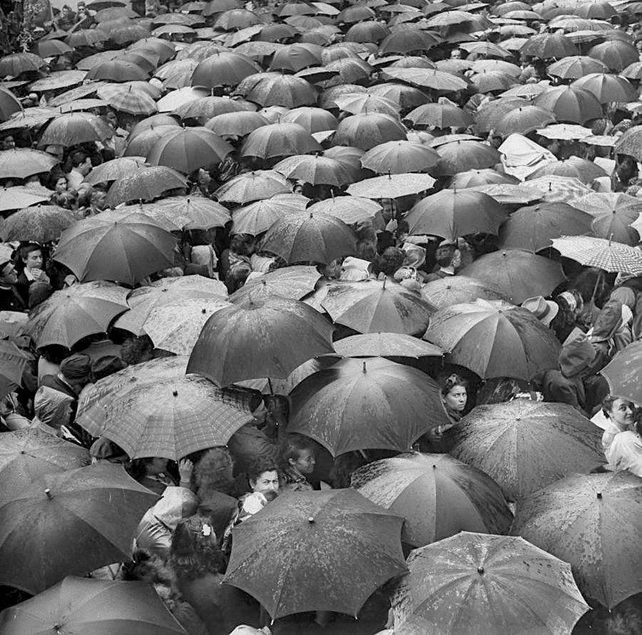 Yale Joel. Overhead View Of Open, Wet Umbrellas Tou, France, 1948.
