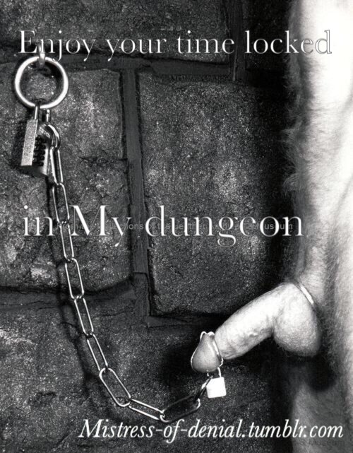 mistress-of-denial:  I’ll unlock you when I want some amusement.