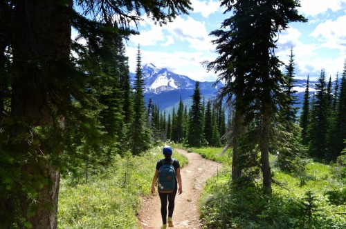 Glacier National Park - Crown of the Continent.