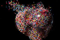 expose-the-light:  High Speed Photographs of Exploding Lightbulbs Filled with Objects 