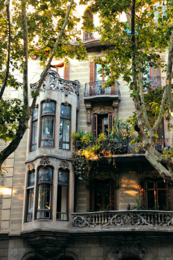 jane-ta:  Through the Thick | Barcelona, Spain  Photographed by [ Jane Ta ] 