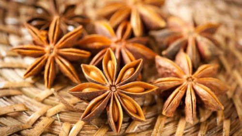 dryadpharmacy: Illicium verum Anis de Chine, Anís Estrellado, Anis Étoilé, Anis