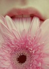 tumblr photo mesh3alxx 3