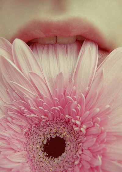 tumblr photo mesh3alxx 5