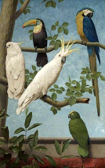 foudepeintures:via the-athenaeum.org :Cockatoos, Toucan, Macaw and a Parrot - 1889Henry Stacy Marks 