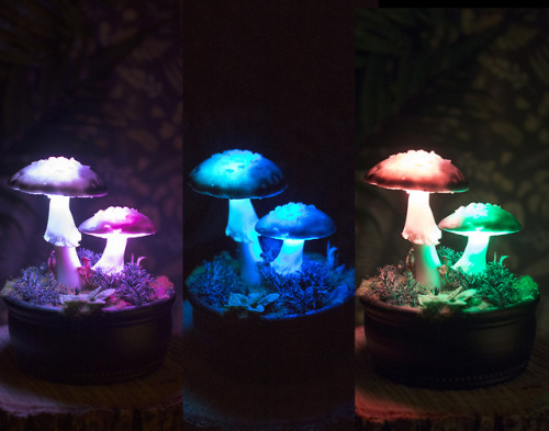 katyasneg:RGB glowing mushroom lamp - https://www.etsy.com/shop/TheSnowmade