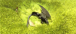 frozendragons-deactivated201404:  We have fishing, hunting, and a charming view of the sunsets. The only problems are the pests. 