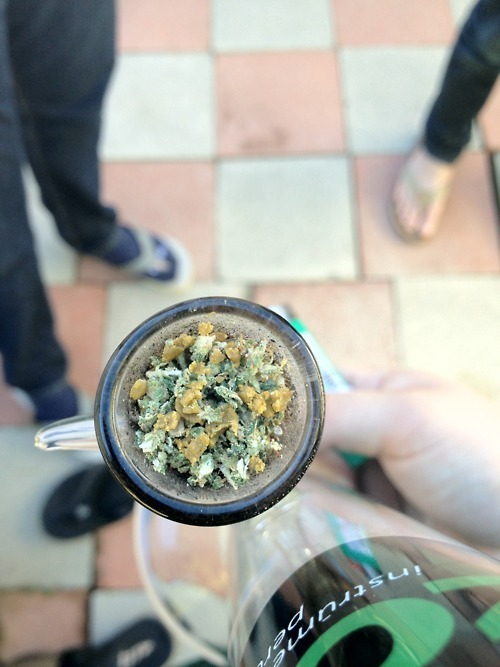 Weed Palace