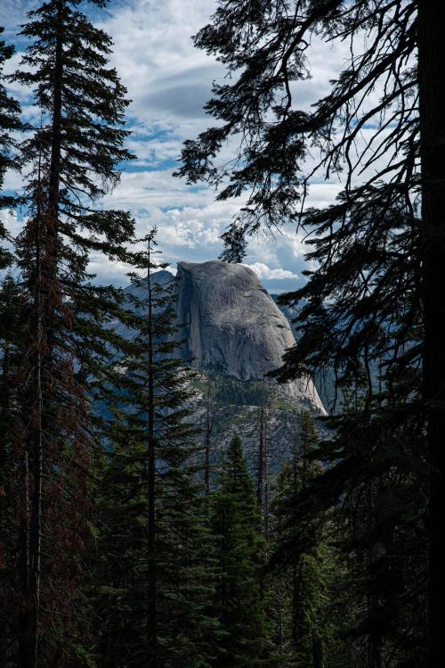 earthporn:Half Dome seen through the trees. [OC] [4016x6016] by: SeesThroughTime