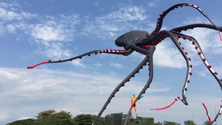 hephs-thighs:boredoom:sixpenceee:This giant octopus kite is amazing. I found this gif here. IS THIS 