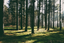 tearingdowndoors:  Lake District & Norfolk,